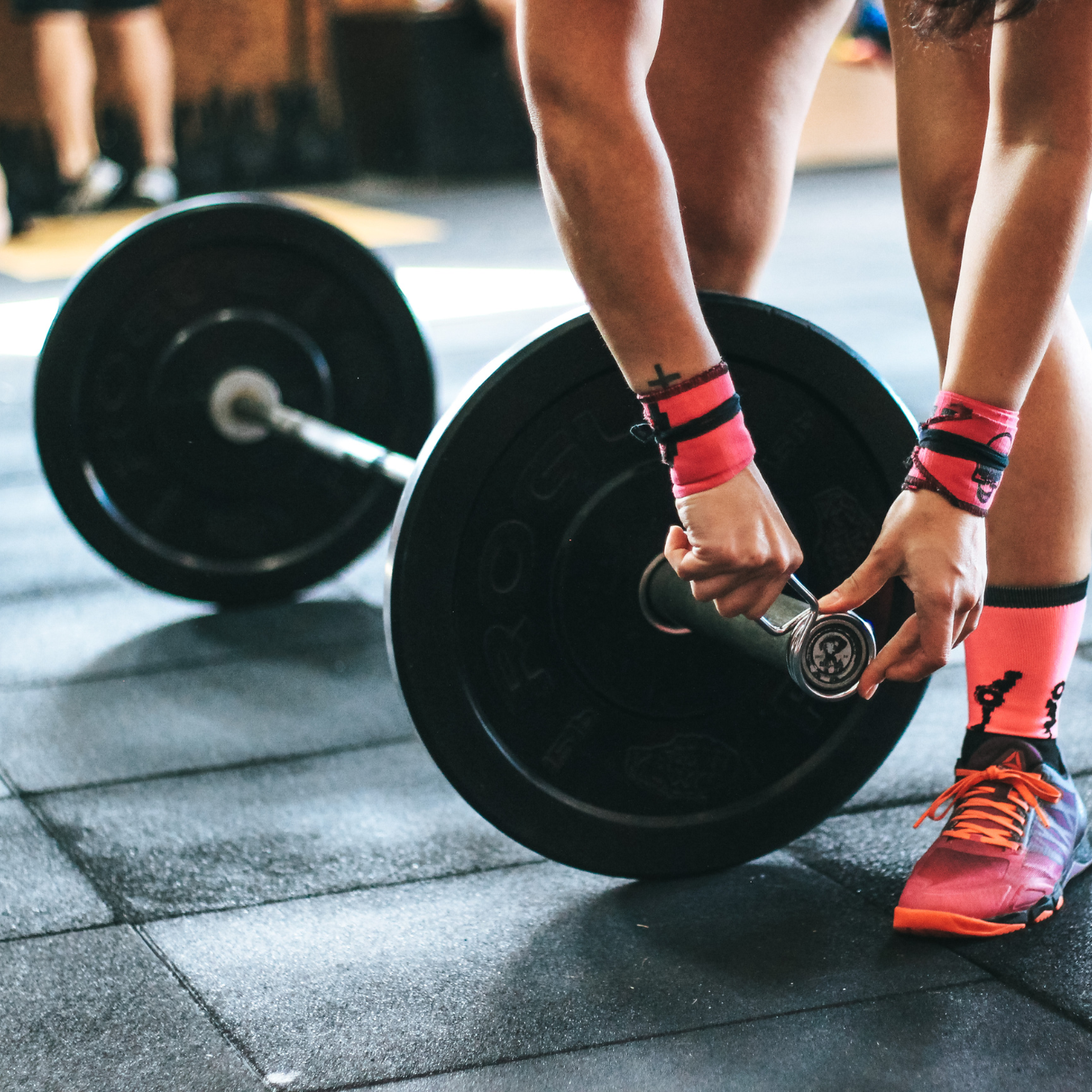 Fitness Equipment