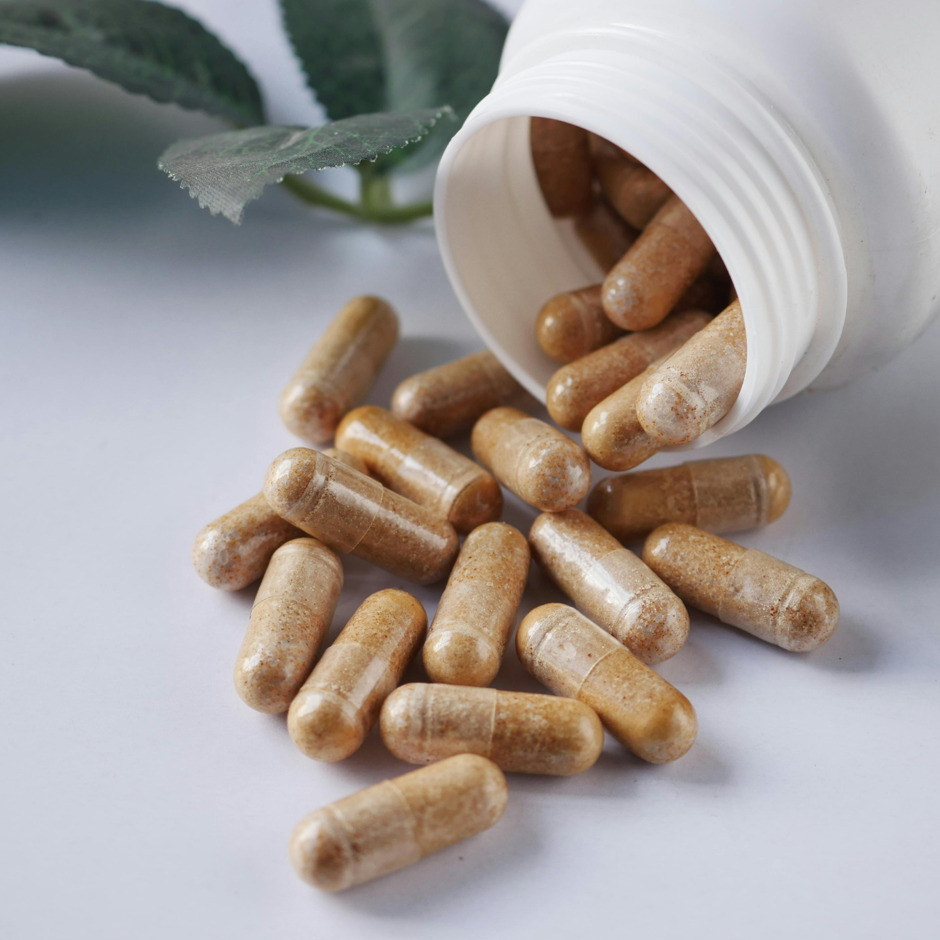 Supplements & Vitamins
