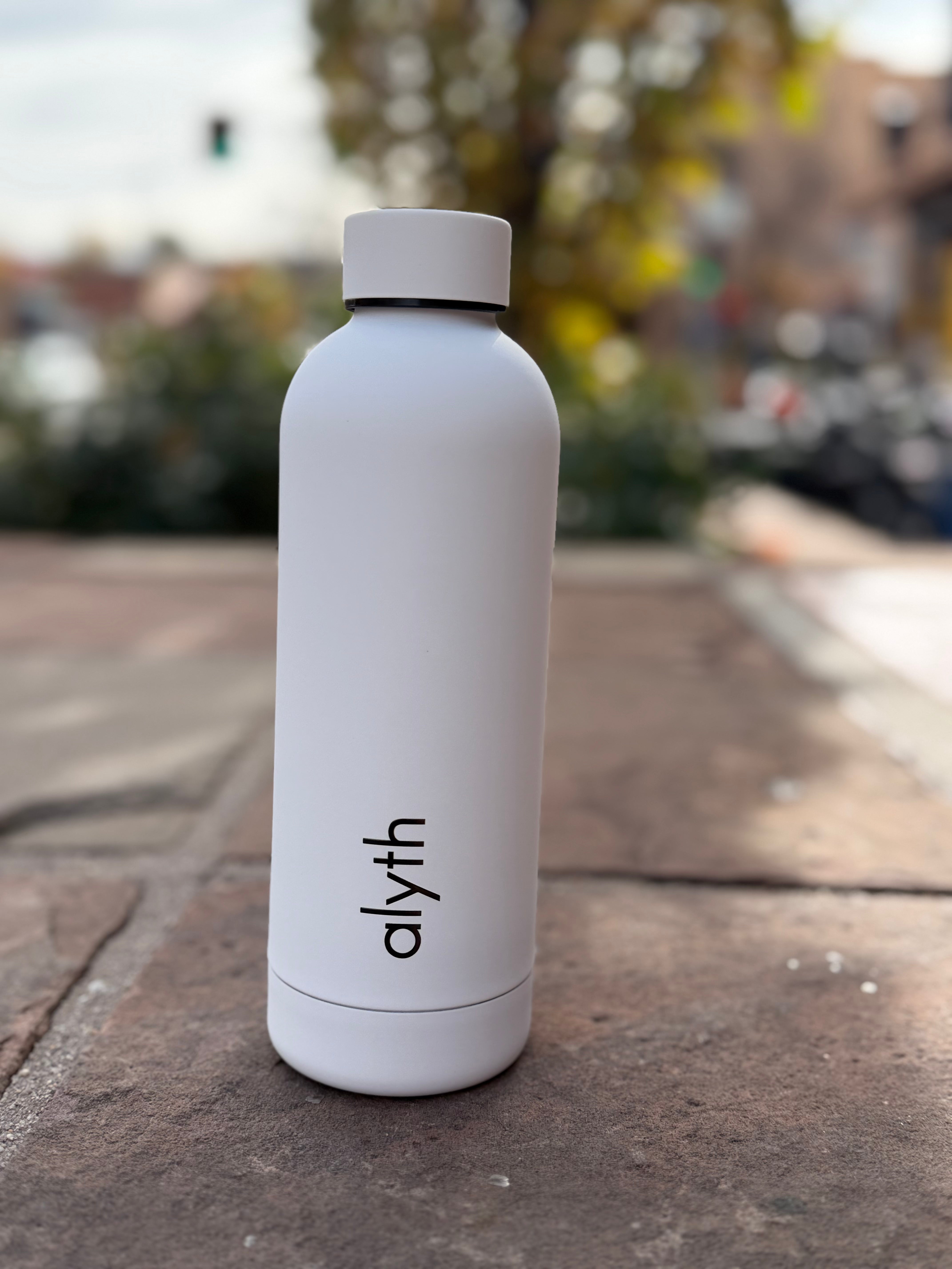 16oz Stainless Steel Insulated Water Bottle Leakproof Lid